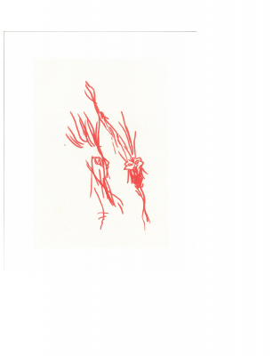 page_000016.png
