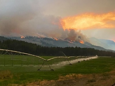 fire133.jpg