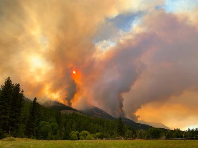 fire137.jpg