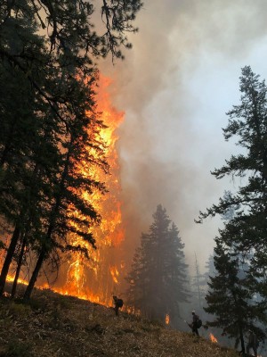 fire139.jpg