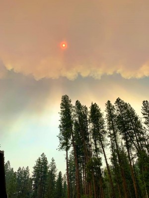 fire158.jpg