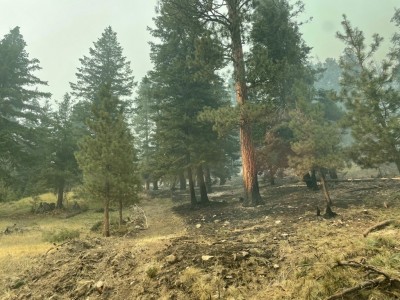 fire176.jpg