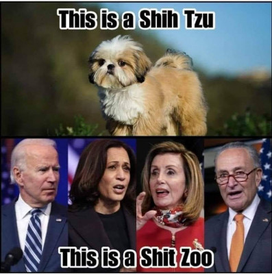 FOX1vd1VsAIeXLC.jpg (73.99 KiB) Viewed 83336 times FOX1vd1VsAIeXLC.jpg