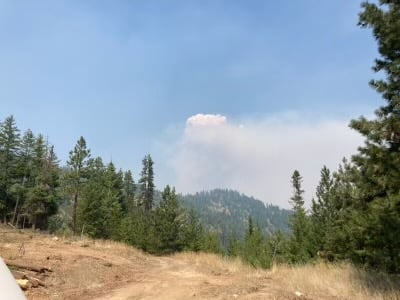 fire193.jpg