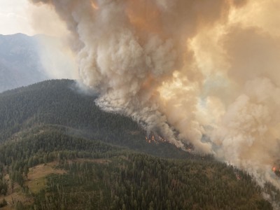 fire199.jpg