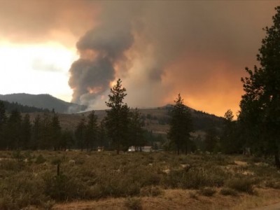fire202.jpg