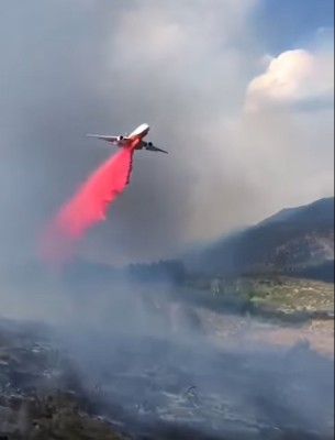 fire204.jpg