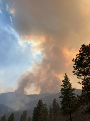 fire207.jpg