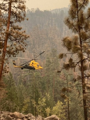 fire210.jpg