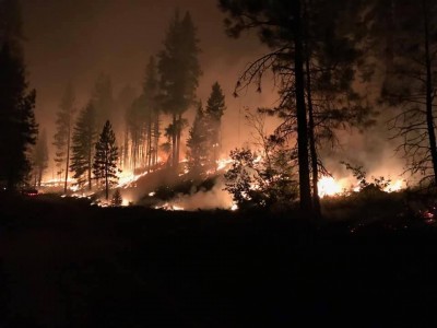 fire274.jpg