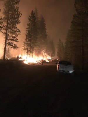 fire275.jpg
