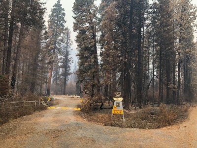 fire322.jpg