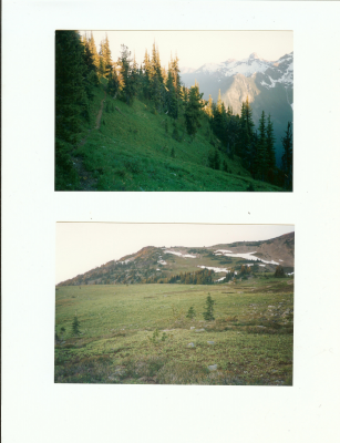 page_000093.png