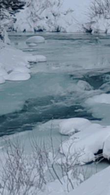 Twisp River 2022.gif (16.39 MiB) Viewed 46366 times Twisp River 05 January 2022