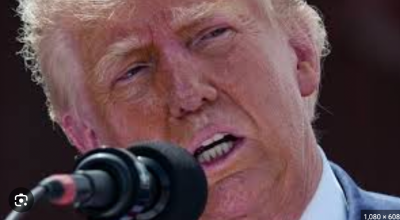 Screen Shot 2024-10-19 at 10.03.59 PM.png